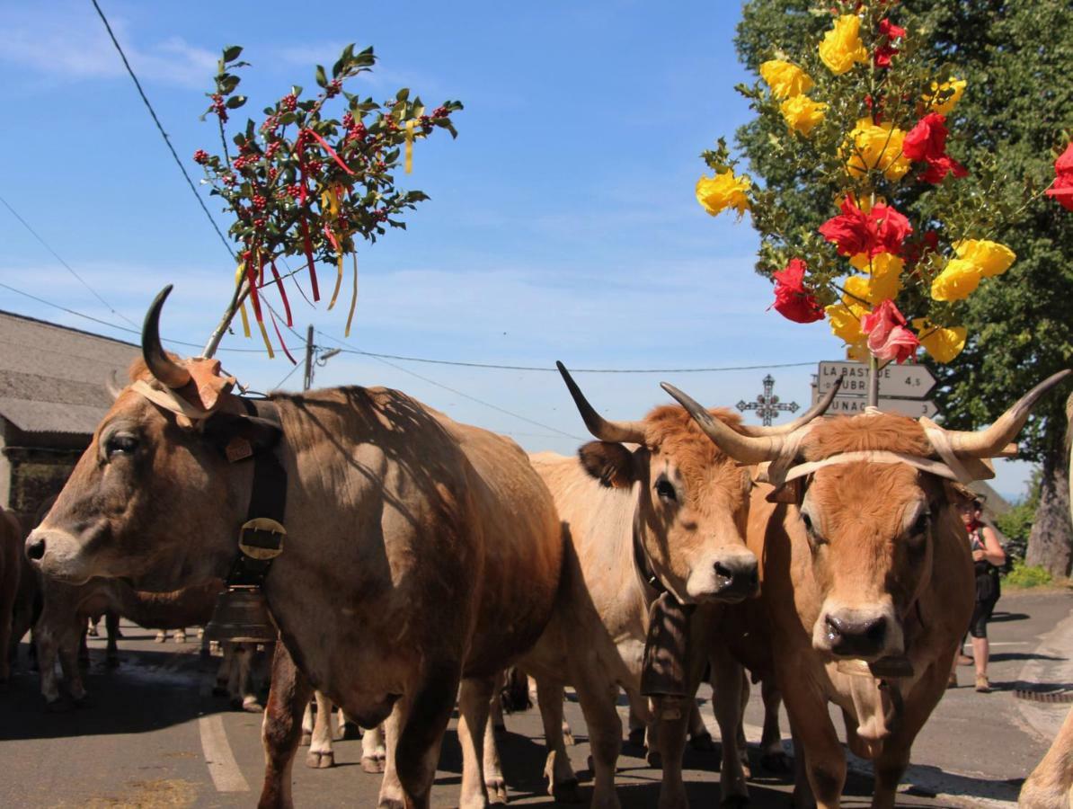 Aux Berges Du Coubisou Bed & Breakfast ภายนอก รูปภาพ
